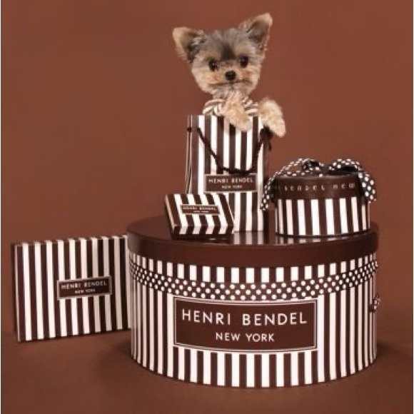 A puppy named Dior at Bendels